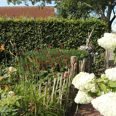 Seeschwalbe Apartamento