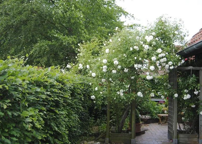 Seeschwalbe Hagermarsch